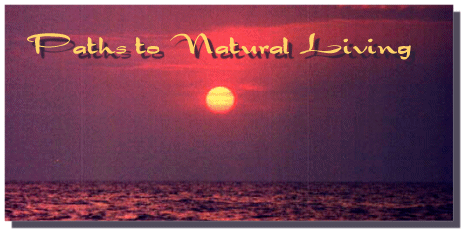 Edisto Sunset  1998 starsea